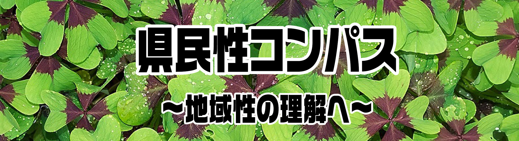 神奈川県民性の性格とは?プライドが高く自己中心的な人が多い?