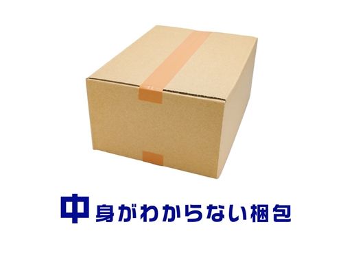 レッドドラゴン 配送方法